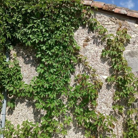 Le Petit Cochon Chambre D' Hotes Haims Kültér fotó
